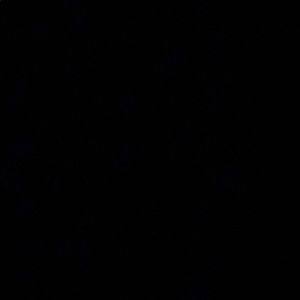 Meet your Posher, Amiel